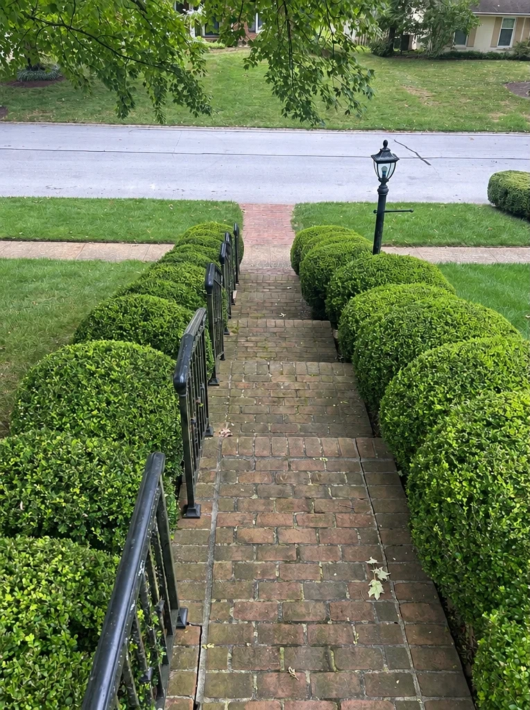 Lexington brick walkway before and after before