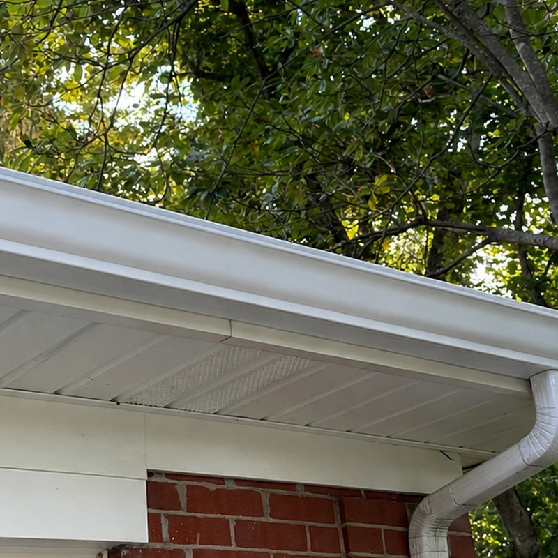 Lexington gutter cleaning after