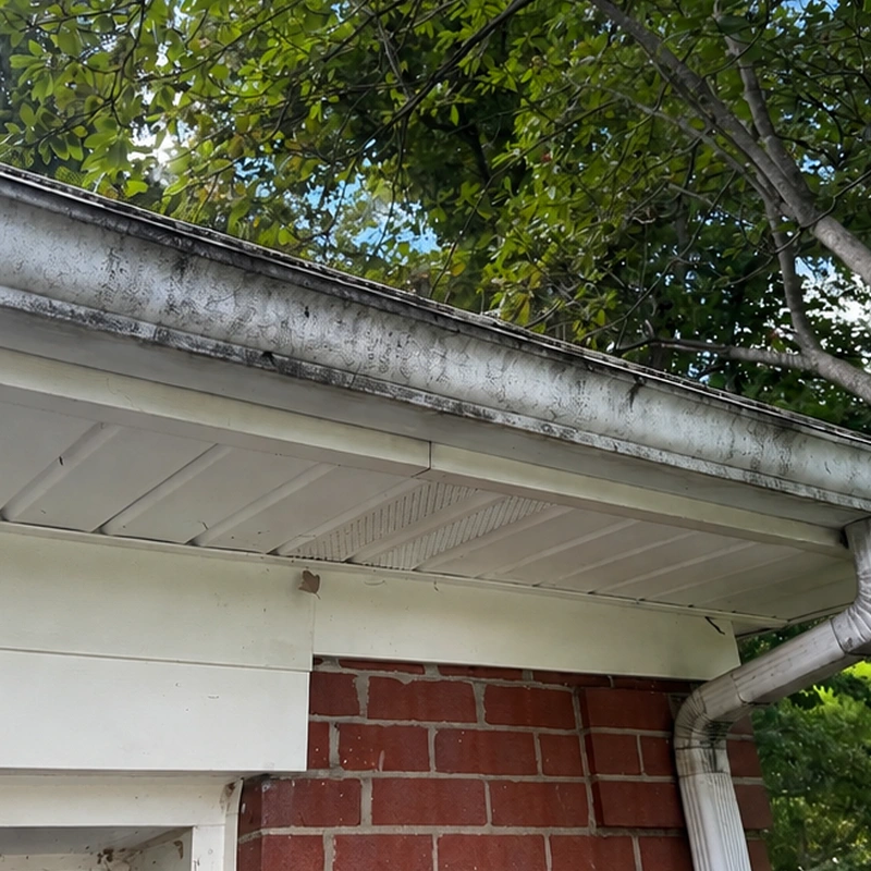 Lexington gutter cleaning before