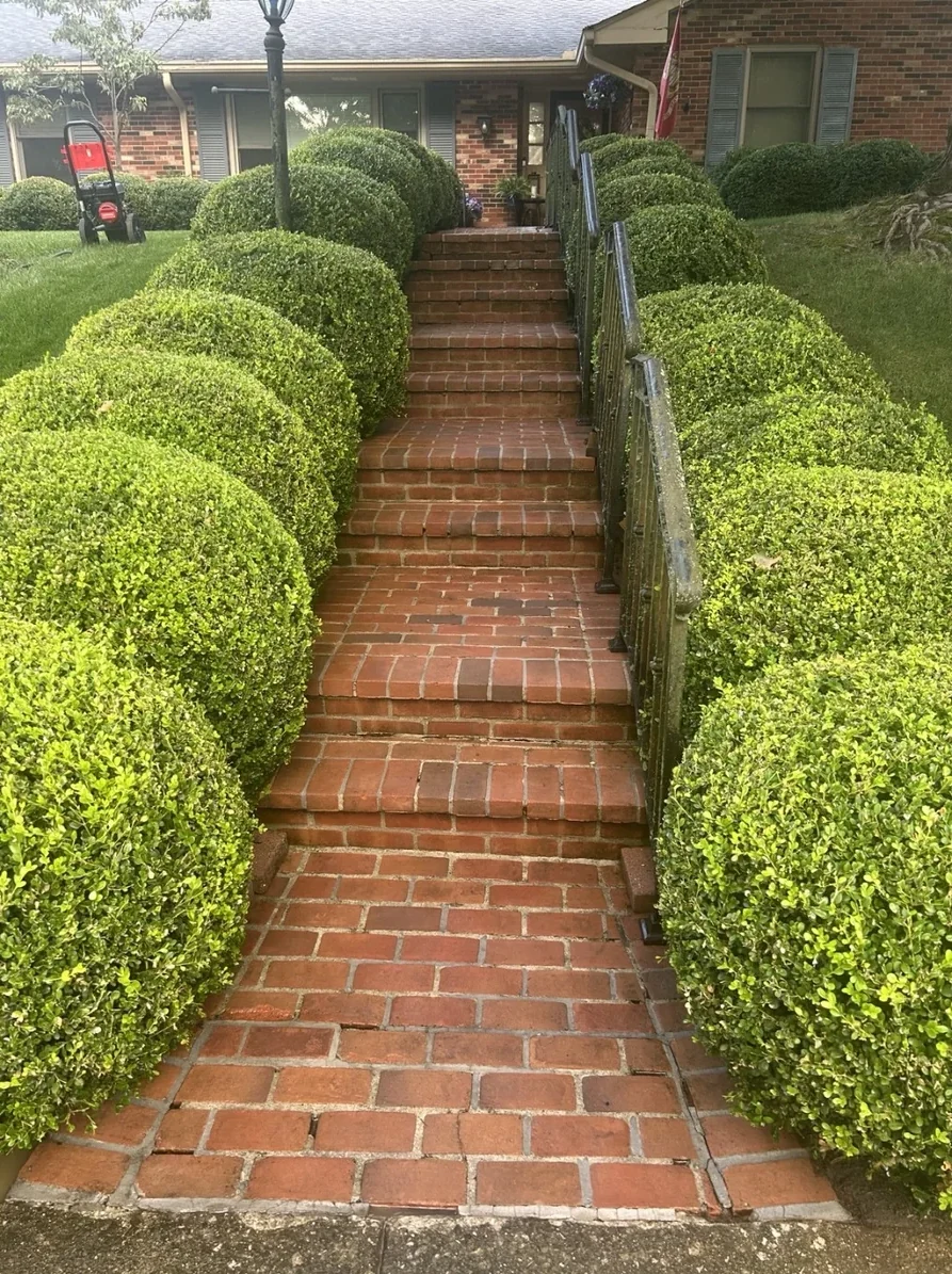 Lexington brick walkway cleaning after
