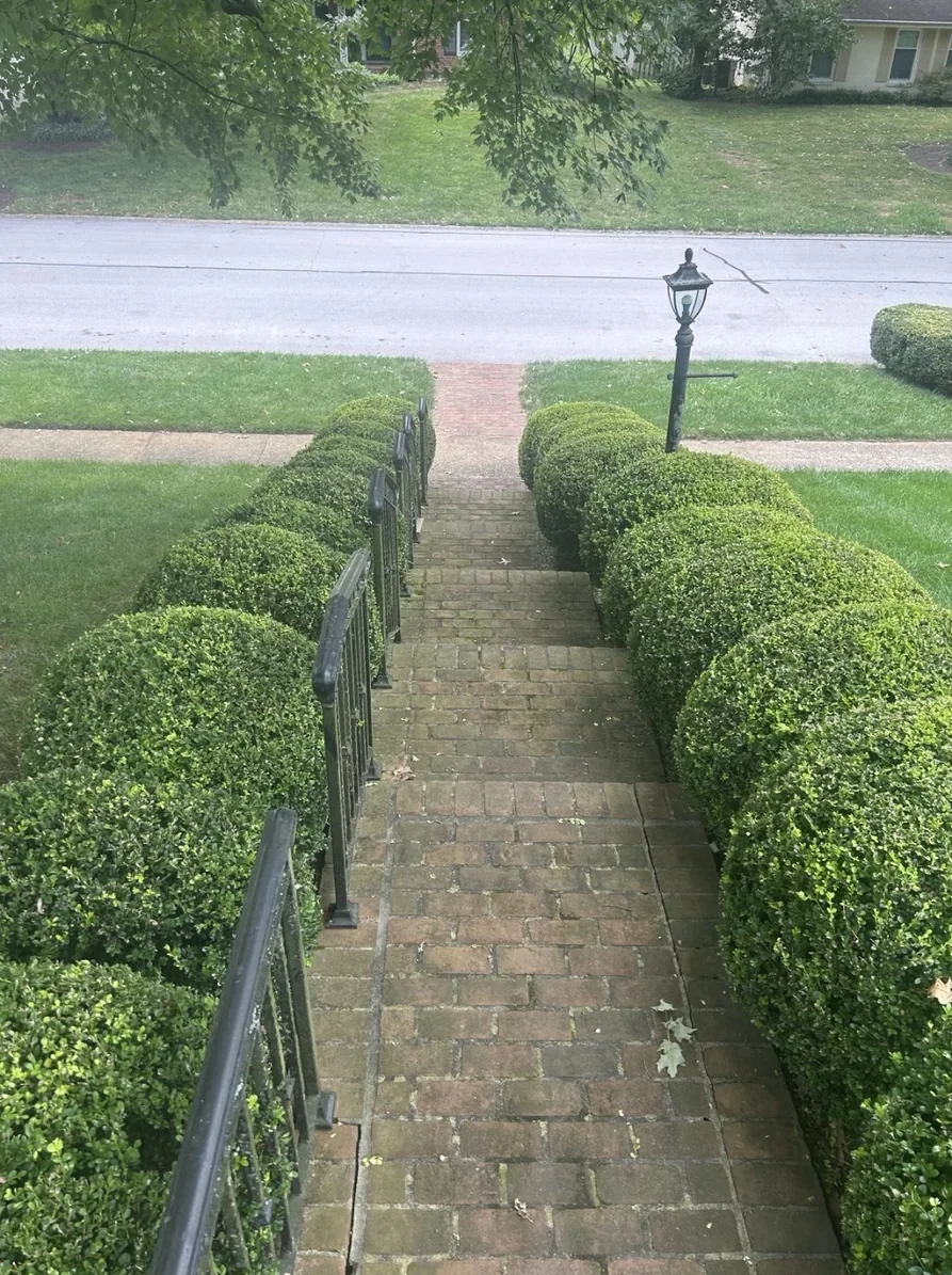 Lexington brick walkway cleaning before