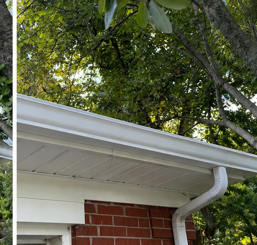 Lexington gutter cleaning after