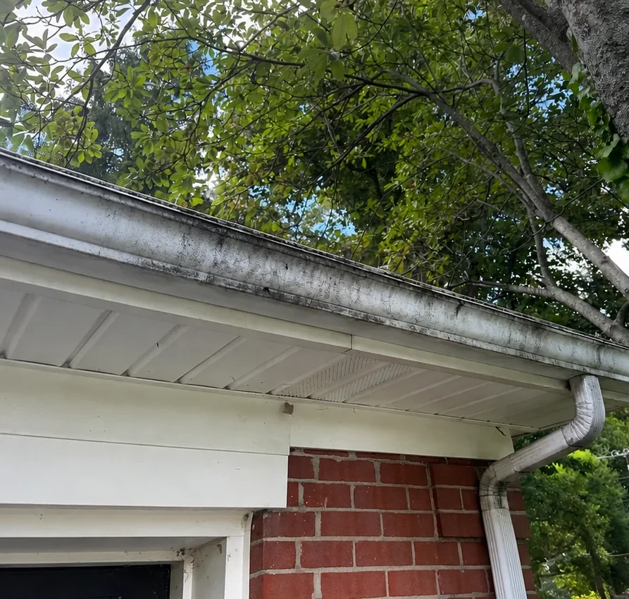 Lexington gutter cleaning before